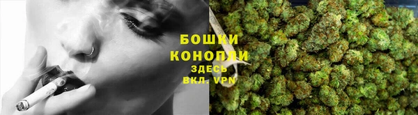 ПСИЛОЦИБИНОВЫЕ ГРИБЫ Алзамай