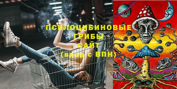 соль курить ск Алексеевка